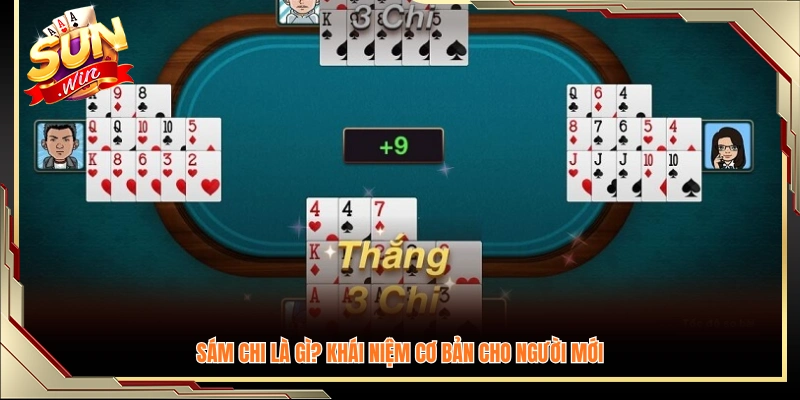 Sám chi là gì? Giải thích cơ bản